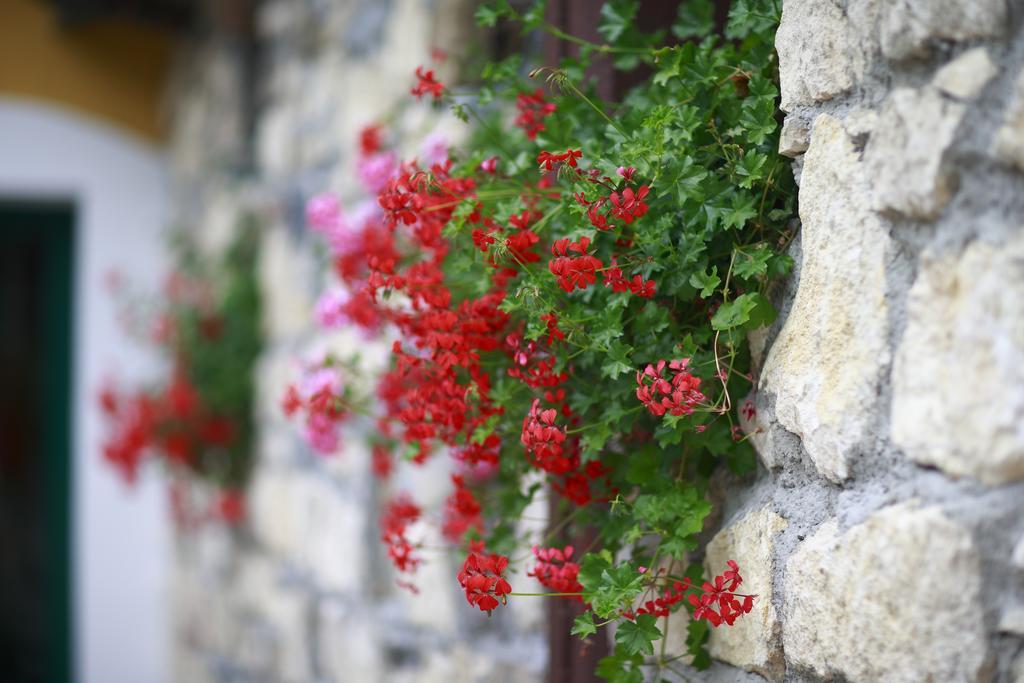 Guesthouse Villa Zelenjak Ventek Kumrovec Εξωτερικό φωτογραφία